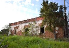 Farmhouse and Large Plot of Land