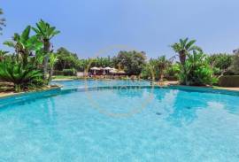Excellent Opportunity, 2 T0 to Renew, Together or Separately ( 180 000 or 360 000 )