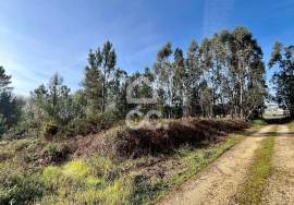 Land Caldas da Rainha Land Caldas da Rainha