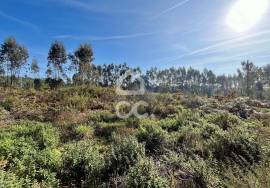 Land Caldas da Rainha Land Caldas da Rainha