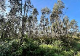 Land Caldas da Rainha Land Caldas da Rainha