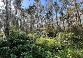 Land Caldas da Rainha Land Caldas da Rainha