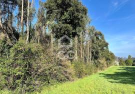 Land Caldas da Rainha Land Caldas da Rainha