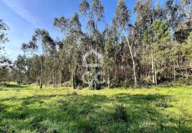 Land Caldas da Rainha Land Caldas da Rainha