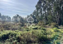 Land Caldas da Rainha Land Caldas da Rainha