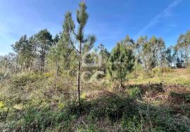 Land Caldas da Rainha Land Caldas da Rainha