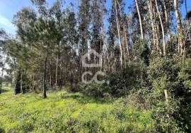 Land Caldas da Rainha Land Caldas da Rainha