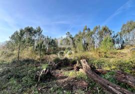 Land Caldas da Rainha Land Caldas da Rainha