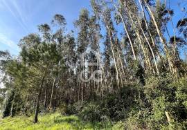 Land Caldas da Rainha Land Caldas da Rainha