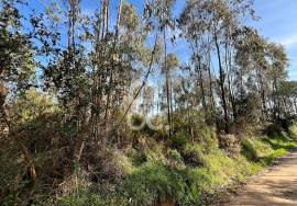 Land Caldas da Rainha Land Caldas da Rainha