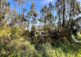 Land Caldas da Rainha Land Caldas da Rainha