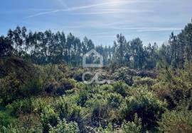 Land Caldas da Rainha Land Caldas da Rainha