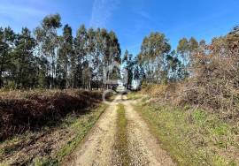 Land Caldas da Rainha