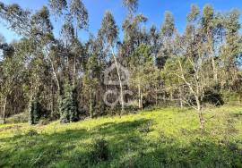 Land Caldas da Rainha Land Caldas da Rainha