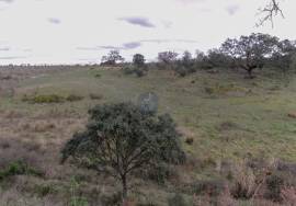 Land of 63,900 m2 with 2 ruins, well and stream