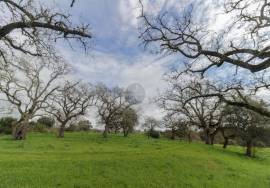 Land of 63,900 m2 with 2 ruins, well and stream