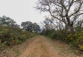 Land of 63,900 m2 with 2 ruins, well and stream