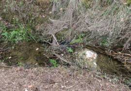 Land of 63,900 m2 with 2 ruins, well and stream