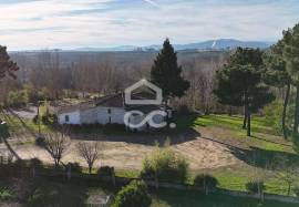 Discotheque/ Bar - Commercial establishment with 300 m² on the outskirts of the city