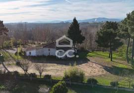Discotheque/ Bar - Commercial establishment with 300 m² on the outskirts of the city