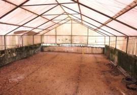 Farm with Indoor Riding Arena plus Swimming Pool