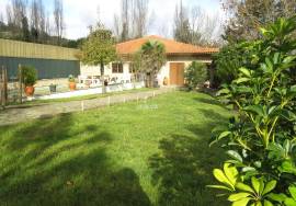 Farm with Indoor Riding Arena plus Swimming Pool