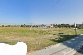 Land for urban construction with 11,630 m² of banking located in Hortas da Frialva, Ponto de Sor