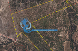 Estate with cork oak forest of excellence located in Grândola
