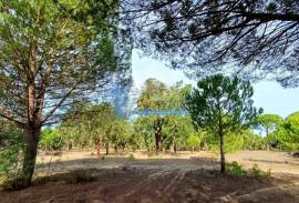 Estate with cork oak forest of excellence located in Grândola