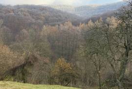 2 House Estate For Sale In Hosszuheteny