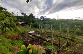 Excellent 12 Bed Permaculture Ecological Finca Sumaj Kawsay for Sale In San Vicente de Huaticocha