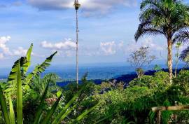 Excellent 12 Bed Permaculture Ecological Finca Sumaj Kawsay for Sale In San Vicente de Huaticocha