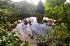 Excellent 12 Bed Permaculture Ecological Finca Sumaj Kawsay for Sale In San Vicente de Huaticocha