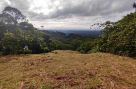 Excellent 12 Bed Permaculture Ecological Finca Sumaj Kawsay for Sale In San Vicente de Huaticocha