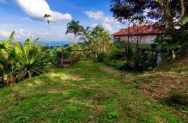 Excellent 12 Bed Permaculture Ecological Finca Sumaj Kawsay for Sale In San Vicente de Huaticocha