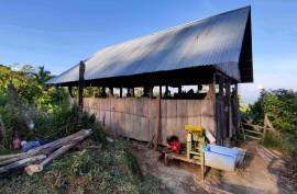 Excellent 12 Bed Permaculture Ecological Finca Sumaj Kawsay for Sale In San Vicente de Huaticocha