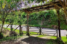 Excellent 12 Bed Permaculture Ecological Finca Sumaj Kawsay for Sale In San Vicente de Huaticocha