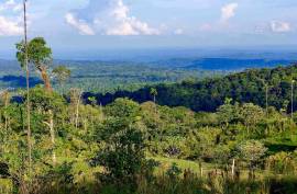 Excellent 12 Bed Permaculture Ecological Finca Sumaj Kawsay for Sale In San Vicente de Huaticocha