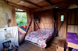 Excellent 12 Bed Permaculture Ecological Finca Sumaj Kawsay for Sale In San Vicente de Huaticocha