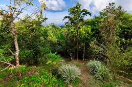 Excellent 12 Bed Permaculture Ecological Finca Sumaj Kawsay for Sale In San Vicente de Huaticocha