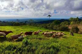 Excellent 12 Bed Permaculture Ecological Finca Sumaj Kawsay for Sale In San Vicente de Huaticocha