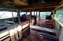 Excellent 12 Bed Permaculture Ecological Finca Sumaj Kawsay for Sale In San Vicente de Huaticocha