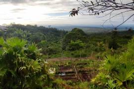 Excellent 12 Bed Permaculture Ecological Finca Sumaj Kawsay for Sale In San Vicente de Huaticocha
