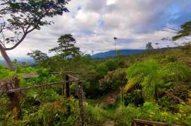 Excellent 12 Bed Permaculture Ecological Finca Sumaj Kawsay for Sale In San Vicente de Huaticocha