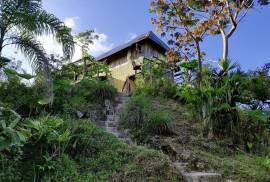 Excellent 12 Bed Permaculture Ecological Finca Sumaj Kawsay for Sale In San Vicente de Huaticocha
