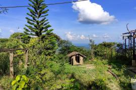 Excellent 12 Bed Permaculture Ecological Finca Sumaj Kawsay for Sale In San Vicente de Huaticocha