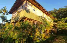 Excellent 12 Bed Permaculture Ecological Finca Sumaj Kawsay for Sale In San Vicente de Huaticocha