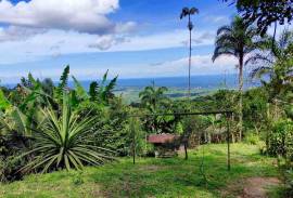 Excellent 12 Bed Permaculture Ecological Finca Sumaj Kawsay for Sale In San Vicente de Huaticocha