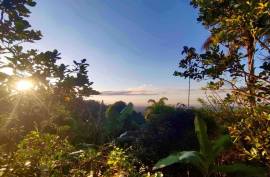 Excellent 12 Bed Permaculture Ecological Finca Sumaj Kawsay for Sale In San Vicente de Huaticocha