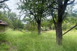 Land For Sale on Mahlathini Private Game Reserve South